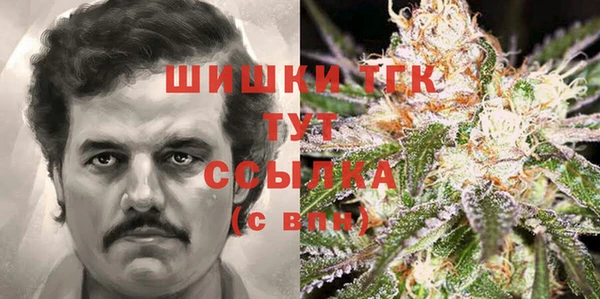 стаф Кинешма