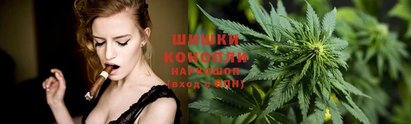 стаф Кинешма