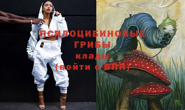стаф Кинешма