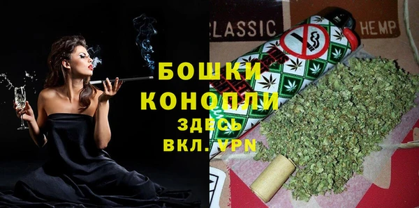 стаф Кинешма