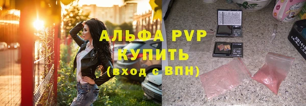 стаф Кинешма
