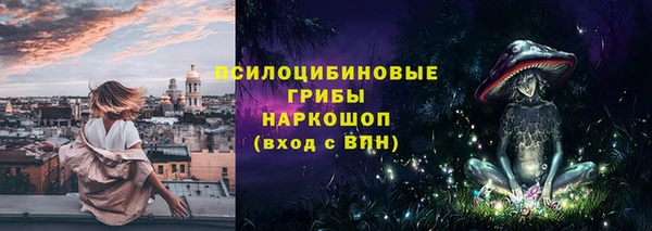 стаф Кинешма
