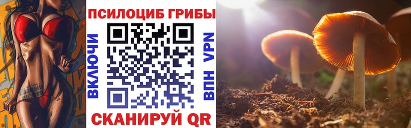 Купить  Аша  Псилоцибиновые грибы MAGIC MUSHROOMS 